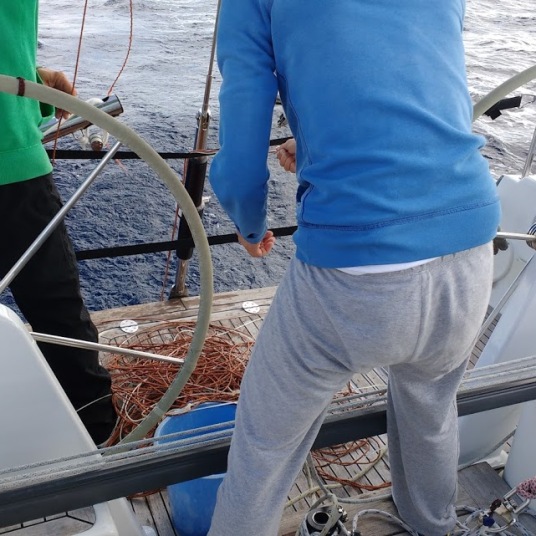 Removing fishing net