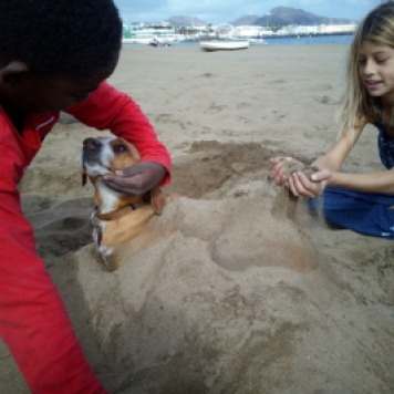 Kids playing with dog at the beach